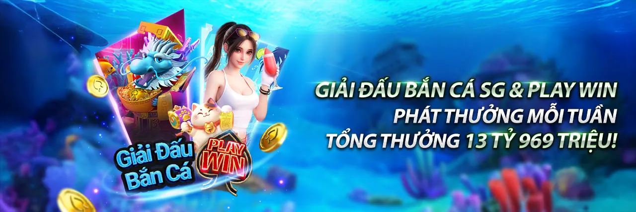 Tổng quan các cập nhật mới nhất của nền tảng vnxx