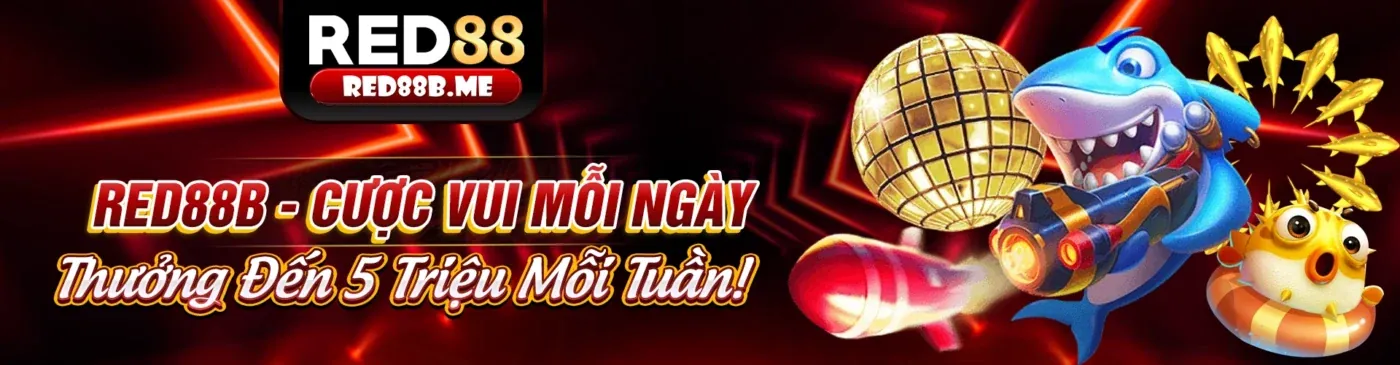 Đá Gà Trực Tuyến vnxx