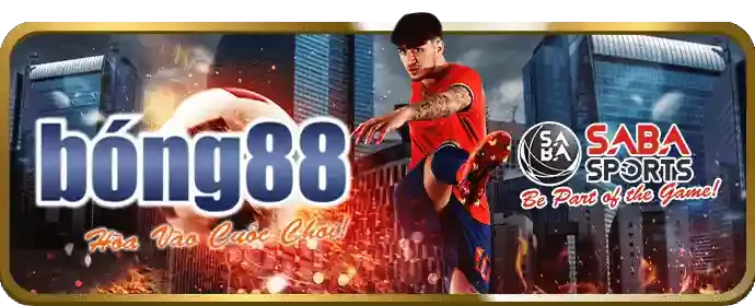 Chương trình VIP vnxx